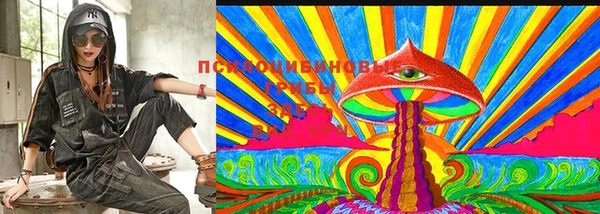 ешки Ветлуга