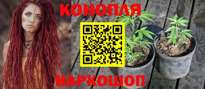 винт Кандалакша