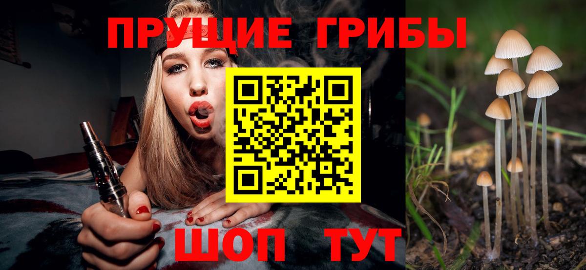 Галлюциногенные грибы Cubensis  Вход с VPN  магазин  наркотиков  Киржач 